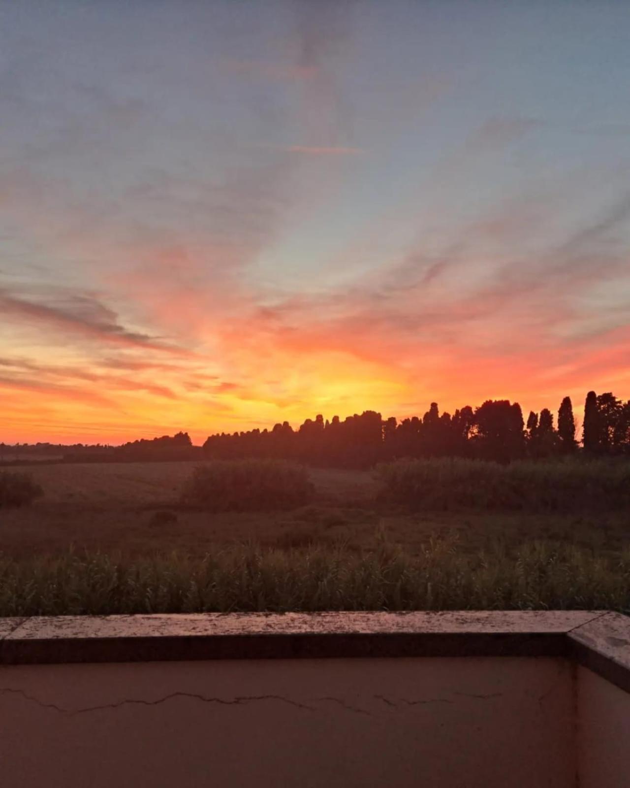 Ferienwohnung Rosignano Marittimo Rosa Bianca Exterior foto
