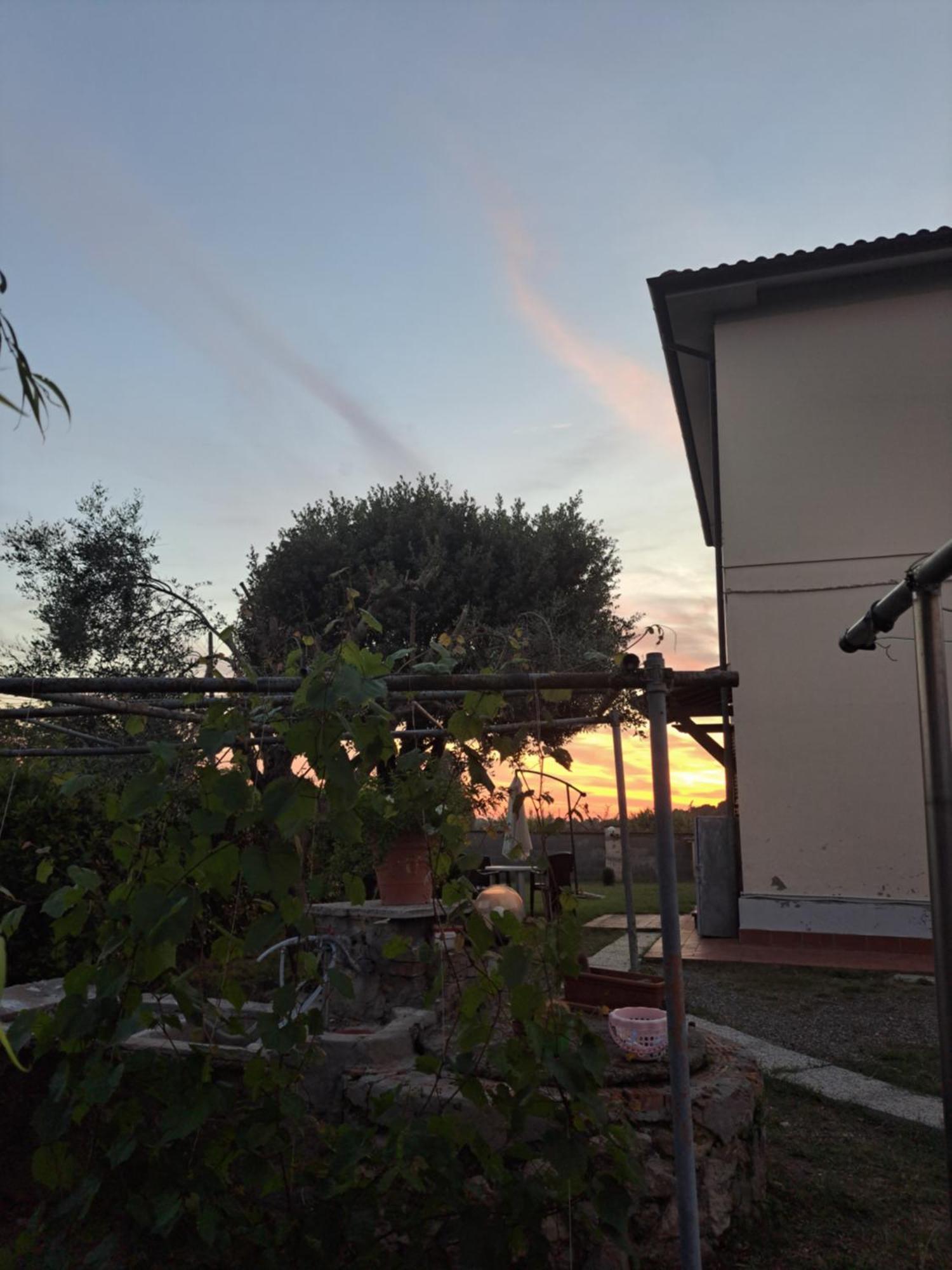 Ferienwohnung Rosignano Marittimo Rosa Bianca Exterior foto