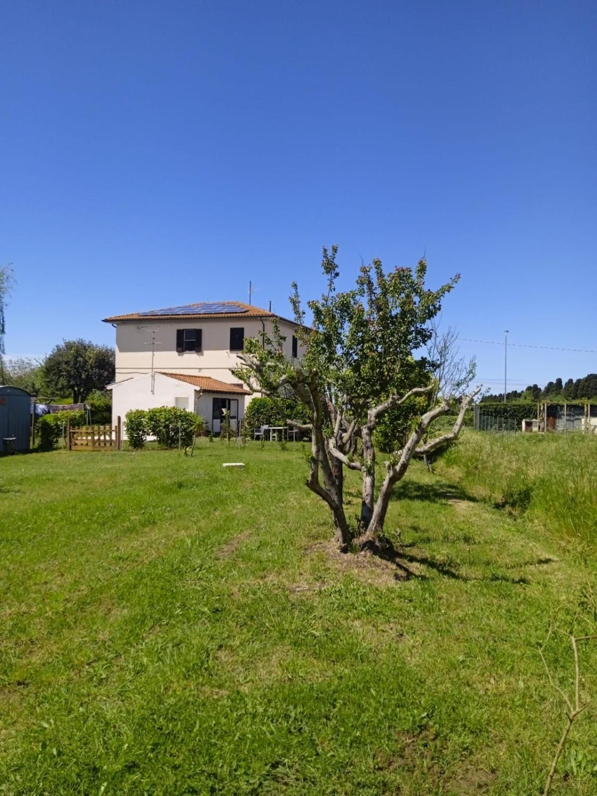 Ferienwohnung Rosignano Marittimo Rosa Bianca Exterior foto